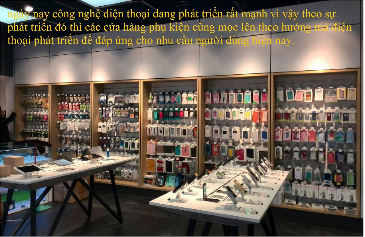 Ebiz Pos Offline - Kinh nghiệm mở cửa hàng phụ kiện điện thoại kinh doanh . - Hình 2