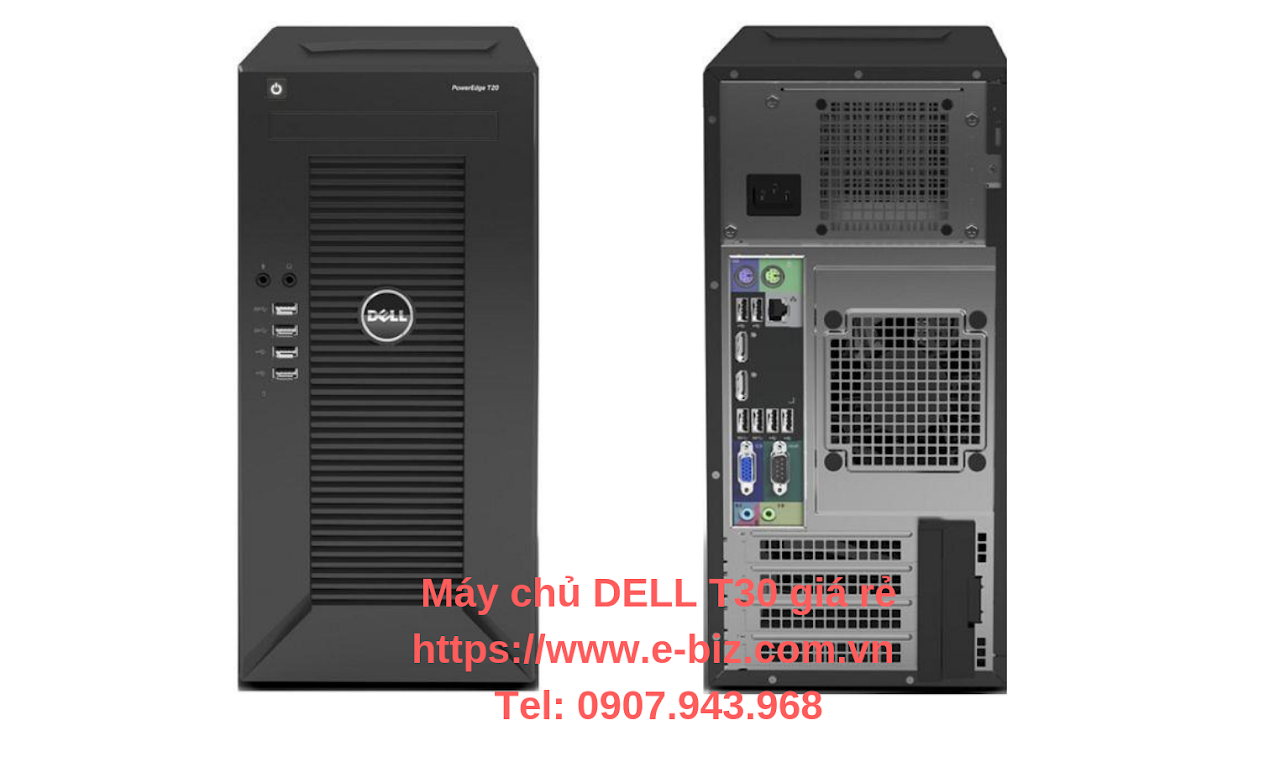 Ebiz Pos Offline - Máy Chủ server DELL T30 giá rẻ - Hình 2