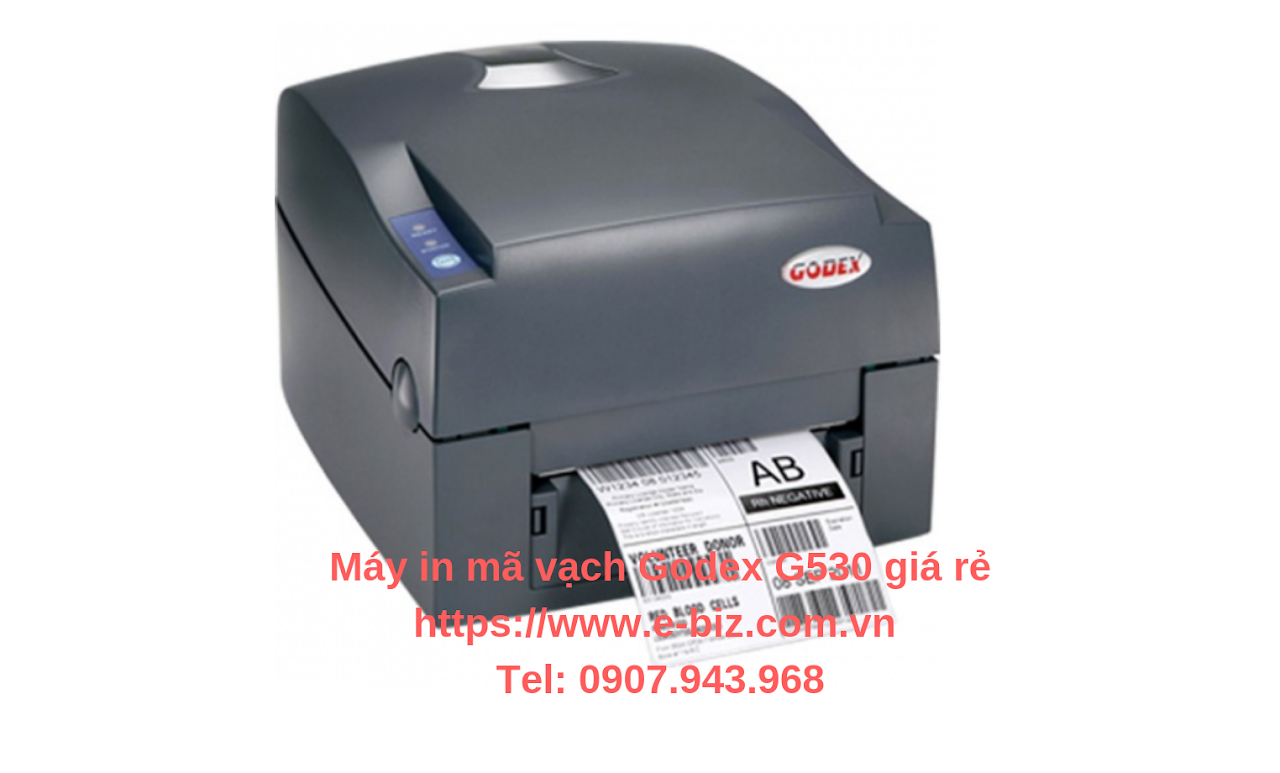 Ebiz Pos Offline - Máy in mã vạch GoDEX G530 giá rẻ - Hình 2